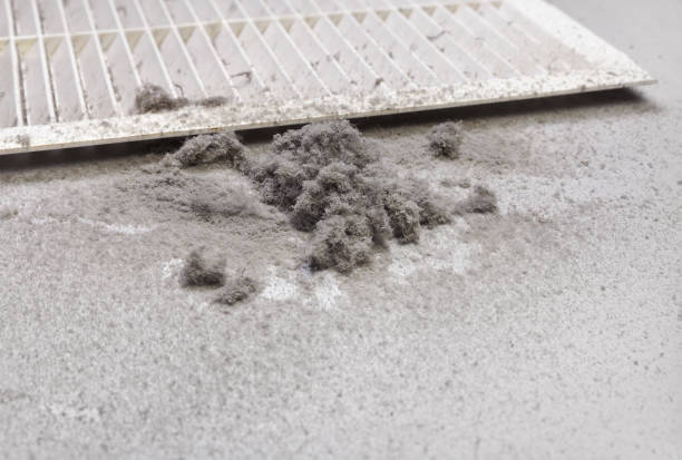 Best Affordable Duct Cleaning Services  in Lititz, PA