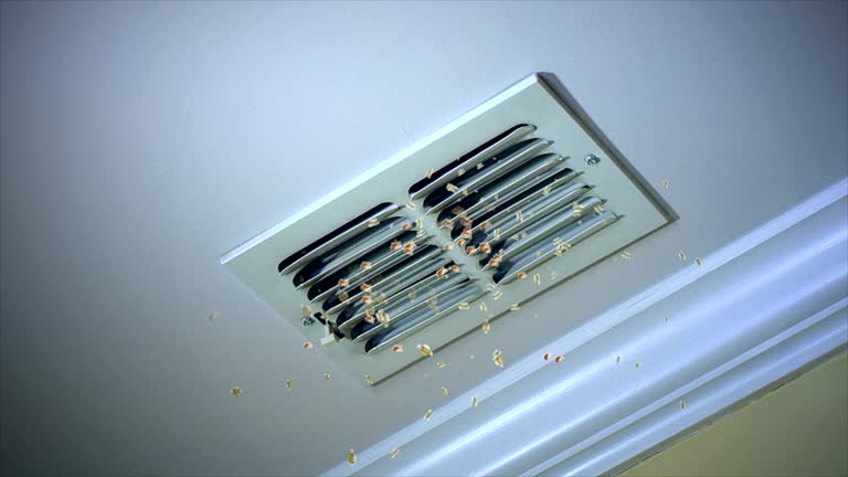 Best Best Air Duct Cleaning Company  in Lititz, PA